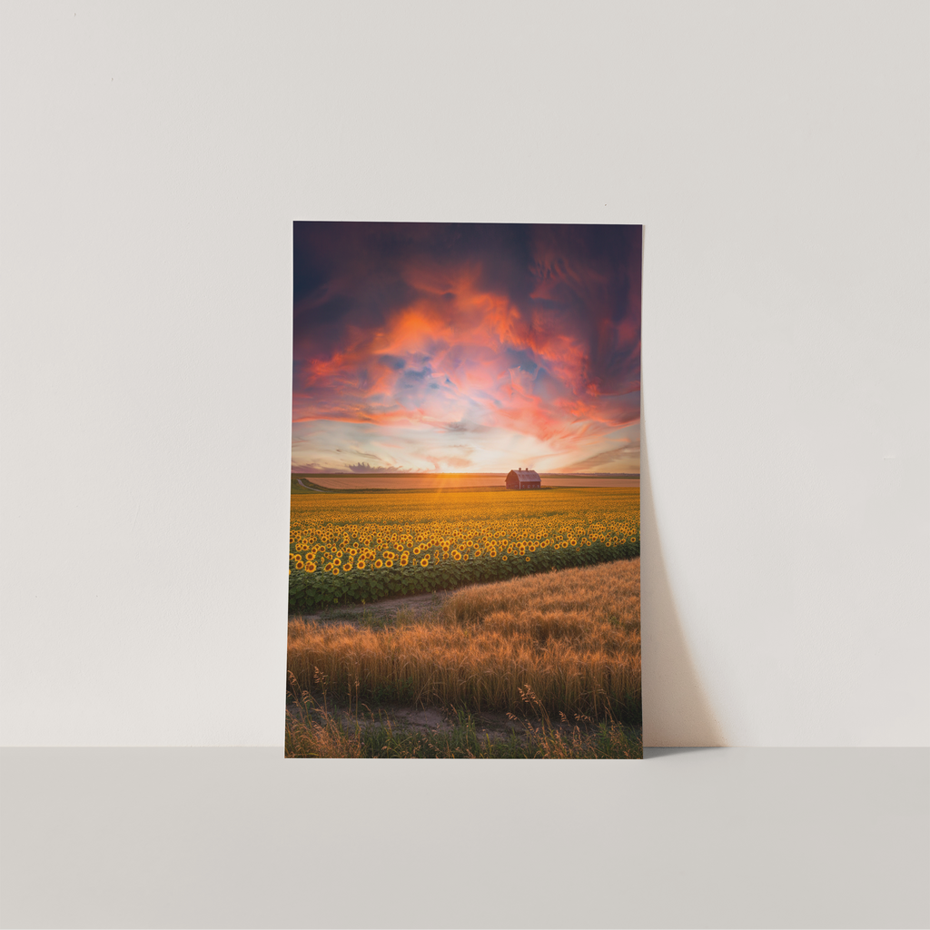 Poster of a sunset over a field of sunflowers